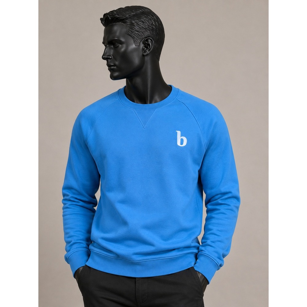 Brooklinen Loungewear Dream Team Graphic Sweatshirt Blue Raglan Crew Neck Small